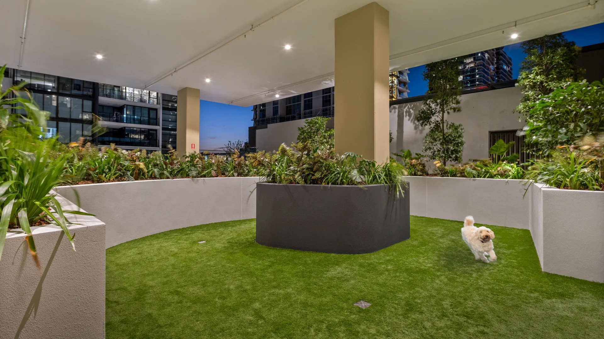 Podium lawn and planters at Croft and Cremorne, South Brisbane